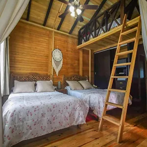 https://alicat-villas.tulum-hotels.net