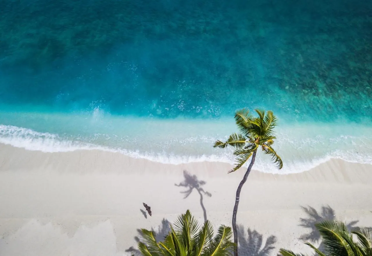Hotel Etereo, Auberge Resorts Collection Punta Maroma